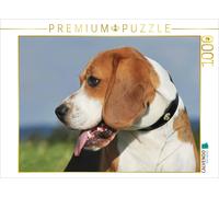 Puzzle CALVENDO Beagle - Portrait d'un mâle | 1000 pièces, format assemblé 64 ×