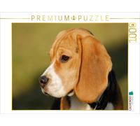 CALVENDO Puzzle Beagle - Un cœur sur 4 Pattes 1000 Pieces 64 x 48 cm from Sista-Tierfoto