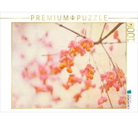 Puzzle CALVENDO beautés naturelles | 1000 pièces, format assemblé 64 × 48 cm | P
