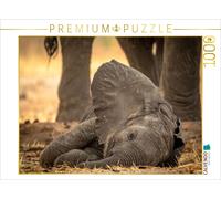 Puzzle CALVENDO Bébé éléphant endormi et bien protégé | 1000 pièces, format asse