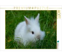 Puzzle CALVENDO Bébé lapin nain blanc | 1000 pièces, format assemblé 64 × 48 cm