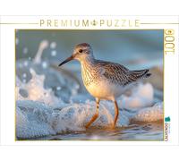 Puzzle CALVENDO Bécasseau violet, le regard vif, à la recherche de nourriture |