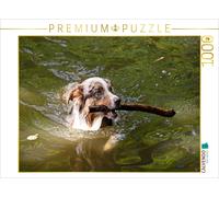 Puzzle CALVENDO Berger australien | 1000 pièces, format assemblé 64 × 48 cm | Pu