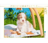 CALVENDO Puzzle Bald Wird ER Die Welt erkunden 1000 Teile Puzzle quer 1000 Pieces 64 x 48 cm from Sista-Tierfoto