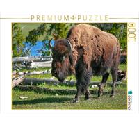 Puzzle CALVENDO Bison dans le parc national de Yellowstone | 1000 pièces, format