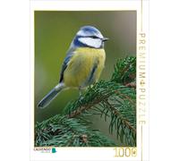 Puzzle CALVENDO Blaumeise | 1000 pièces, format assemblé 64 × 48 cm | Puzzle pho