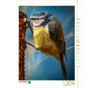CALVENDO Puzzle Mésange Bleue 1000 Pieces 48 x 64 cm from Peter Roder