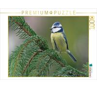 Puzzle CALVENDO Blaumeise | 1000 pièces, format assemblé 64 × 48 cm | Puzzle pho