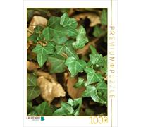 Puzzle CALVENDO Bonjour | 1000 pièces, format assemblé 64 × 48 cm | Puzzle photo