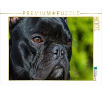 CALVENDO Puzzle Bouledogue français 1000 Pieces 64 x 48 cm from Sista-Tierfoto