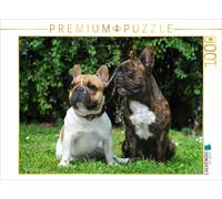 Puzzle CALVENDO Bouledogues français | 1000 pièces, format assemblé 64 × 48 cm |