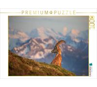 Puzzle · Bouquetin des Alpes | Bouquetin sur fond d'Alpes suisses · 1000 pièces · Format assemblé 64 × 48 cm · CALVENDO Puzzle