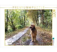 CALVENDO Puzzle Briard en randonnée d'automne 1000 Pieces 64 x 48 cm from Sonja Teßen
