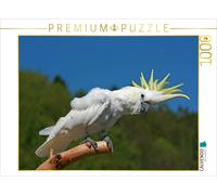 Puzzle CALVENDO Cacatoès à huppe jaune perché sur une branche | 1000 pièces, for