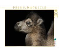 Puzzle CALVENDO Chameau | 1000 pièces, format assemblé 64 × 48 cm | Puzzle photo