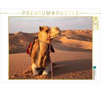 CALVENDO Puzzle Chameau au Repos dans Le désert, Wahiba Sands 1000 pièces, Taille de la Ponte, 64 x 48 cm, Photo Puzzle Image de Jürgen Bochynek