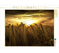 Puzzle CALVENDO Champ de blé au crépuscule | 1000 pièces, format assemblé 64 × 4