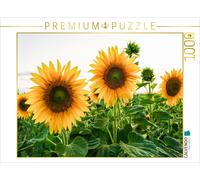 CALVENDO Puzzle Champ de tournesols 1000 Pieces 64 x 48 cm from Solveig Rogalski