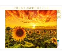 Puzzle CALVENDO Champ de tournesols à Reform | 1000 pièces, format assemblé 64 ×