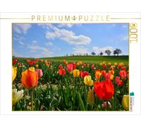 Puzzle CALVENDO Champ de tulipes | 1000 pièces, format assemblé 64 × 48 cm | Puz