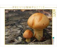 Puzzle CALVENDO Champignons | 1000 pièces, format assemblé 64 × 48 cm | Puzzle p