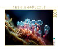 Puzzle CALVENDO Champignons en verre - Micro-organismes | 1000 pièces, format as