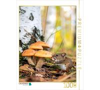 Puzzle CALVENDO Champignons et souris | 1000 pièces, format assemblé 64 × 48 cm