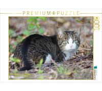 Puzzle CALVENDO Chat domestique à l'orée de la forêt | 1000 pièces, format assem