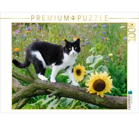 Puzzle CALVENDO Chat noir et blanc avec des tournesols | 1000 pièces, format ass