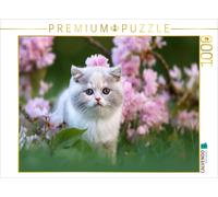 Puzzle CALVENDO Chaton dans un champ de fleurs | 1000 pièces, format assemblé 64
