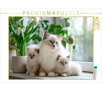 Puzzle · Chatons sacrés de Birmanie - Les Petits chouchous de Maman | Le bonheur familial sur des pattes de velours · 1000 pièces · Format assemblé 64 × 48 cm · CALVENDO Puzzle