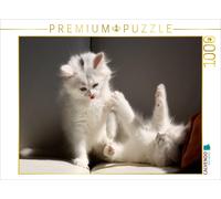 Puzzle CALVENDO Chats - Chat persan | 1000 pièces, format assemblé 64 × 48 cm |