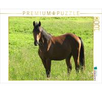 CALVENDO Puzzle Pferd Auf der Weide 1000 Teile Puzzle quer 1000 Pieces 64 x 48 cm from Sabine Löwer