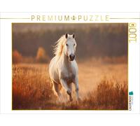 Puzzle CALVENDO Cheval blanc, la liberté en mouvement | 1000 pièces, format asse