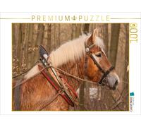 Puzzle CALVENDO Cheval de trait rhénan pour le débardage | 1000 pièces, format a