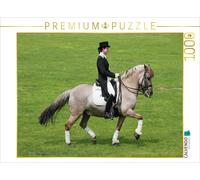 Puzzle · Cheval Sauvage de Dülmen - Dressage | Pinocchio (Dülmener, 1994, par Windus) Jockey : Jana Kamps · 1000 pièces · Format assemblé 64 × 48 cm · CALVENDO Puzzle