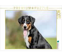 Puzzle · Chienne appenzelloise | Chiot de 4 mois · 1000 pièces · Format assemblé 64 × 48 cm · CALVENDO Puzzle
