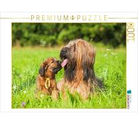 Puzzle · Chienne briarde avec Un de Ses Chiots | 1000 pièces · Format assemblé 64 × 48 cm · CALVENDO Puzzle