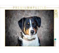 Puzzle CALVENDO Chienne de montagne d'Appenzell | 1000 pièces, format assemblé 6