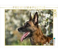 Puzzle CALVENDO chienne Malinois | 1000 pièces, format assemblé 64 × 48 cm | Puz