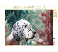 CALVENDO Puzzle Chienne de Setter Anglais de Bluebelton 1000 Pieces 64 x 48 cm from VISOVIO
