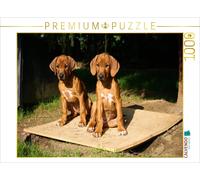 Puzzle CALVENDO Chiennes Rhodesian Ridgeback | 1000 pièces, format assemblé 64 ×