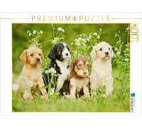 CALVENDO Puzzle Chiens colorés 1000 Pieces 64 x 48 cm from Kathrin Köntopp