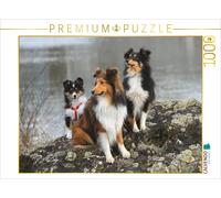 CALVENDO Puzzle Chiens de rivière 1000 Pieces 64 x 48 cm from Marion Reiß - Seibert