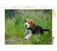 Puzzle CALVENDO Chiot beagle dans l'herbe | 1000 pièces, format assemblé 64 × 48