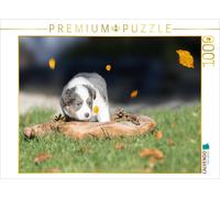 CALVENDO Puzzle Border Collie Welpe in Holzschale 1000 Teile Puzzle quer 1000 Pieces 64 x 48 cm from Andrea Mayer