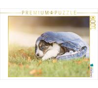CALVENDO Puzzle Border Collie Welpe mit Jeans 1000 Teile Puzzle quer 1000 Pieces 64 x 48 cm from Andrea Mayer
