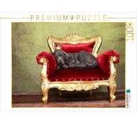 Puzzle CALVENDO Chiot braque de Weimar / Weimaraner Puppy | 1000 pièces, format