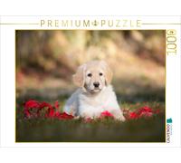 CALVENDO Puzzle Chiot Hovawart 1000 Pieces 64 x 48 cm from Ulla Moswald
