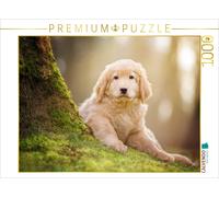 CALVENDO Puzzle Chiot Hovawart 1000 Pieces 64 x 48 cm from Ulla Moswald